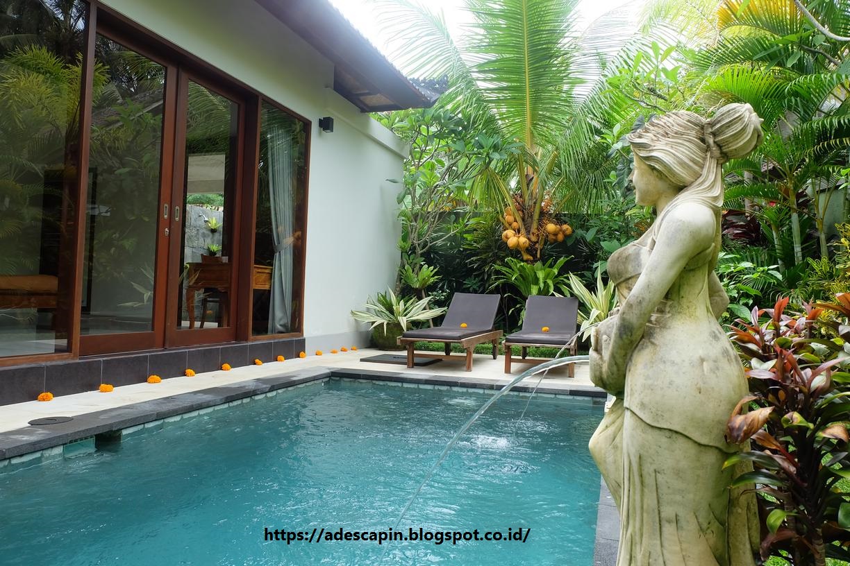 Villa Murah di Ubud, Private Pool dan Host yang Ramah - Helloo... world