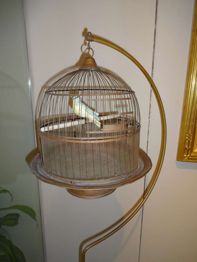 Bird In Everything Antique Hendryx Bird Cage