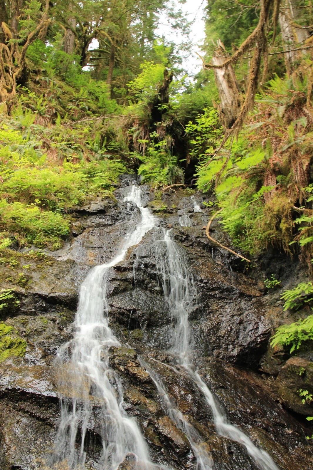 Explorations of Jackie & Joe: Old Robe Canyon Trail