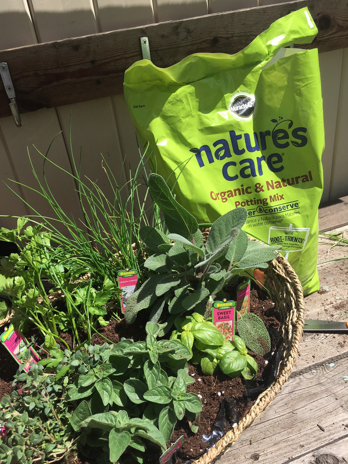 How to make an herb basket The Style Sisters