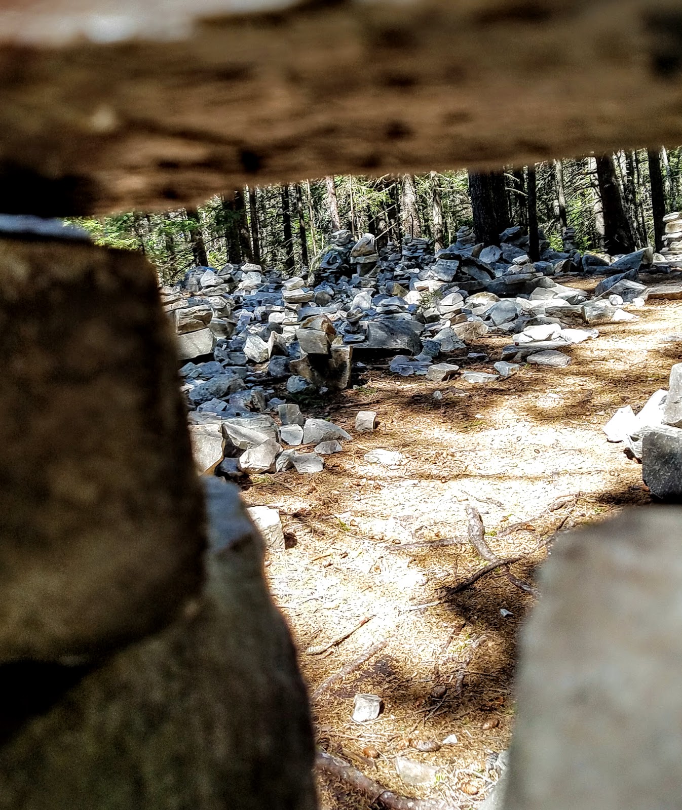 Frantic Oreo on the Appalachian Trail 2016 Day 20/April 20 hiking