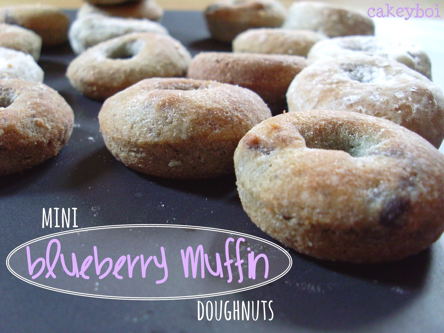 mini blueberry muffin doughnuts