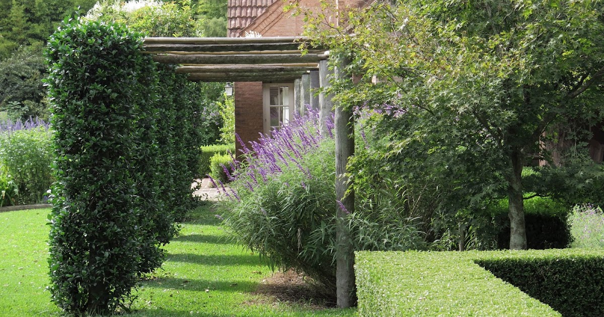 En el jardin: llegó el otoño