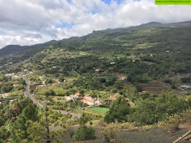 El Cabildo anima a la población a limpiar y despejar de maleza el entorno de las casas para prevenir los incendios forestales