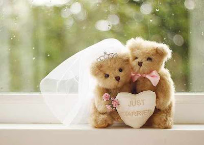 صور زفاف صور زفاف