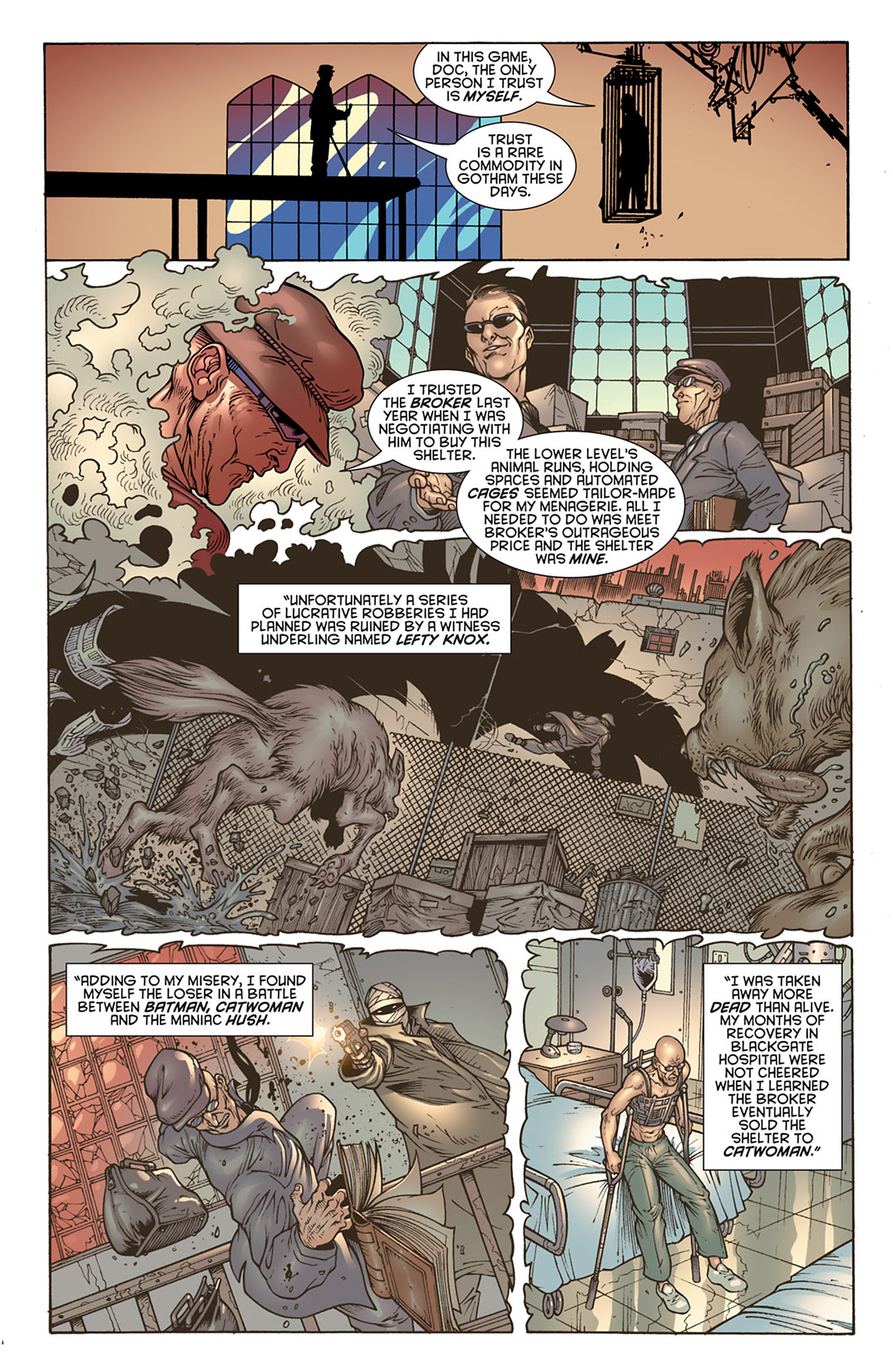 Read online Gotham City Sirens comic -  Issue #10 - 5