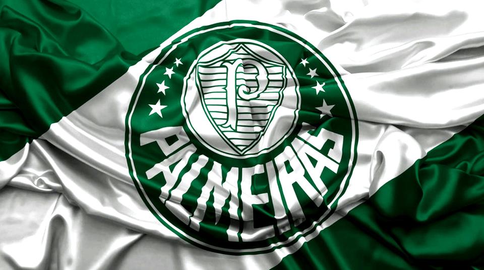 Imagem e vetor para o tema Futebol Palmeiras  Desenho palmeira, Mascotes  de times, Ideias para canecas