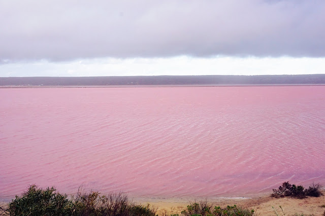 australia perth wa pink lake Hutt Lagoon 