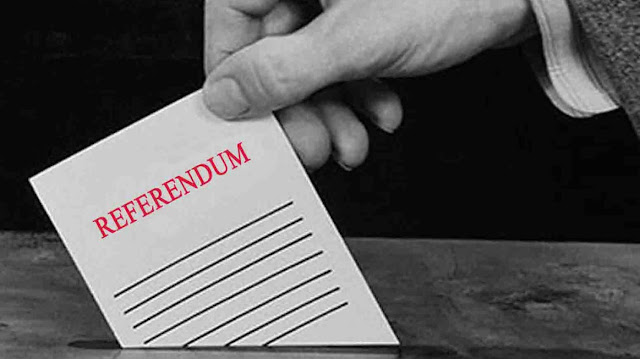 Referendum y Constitucion