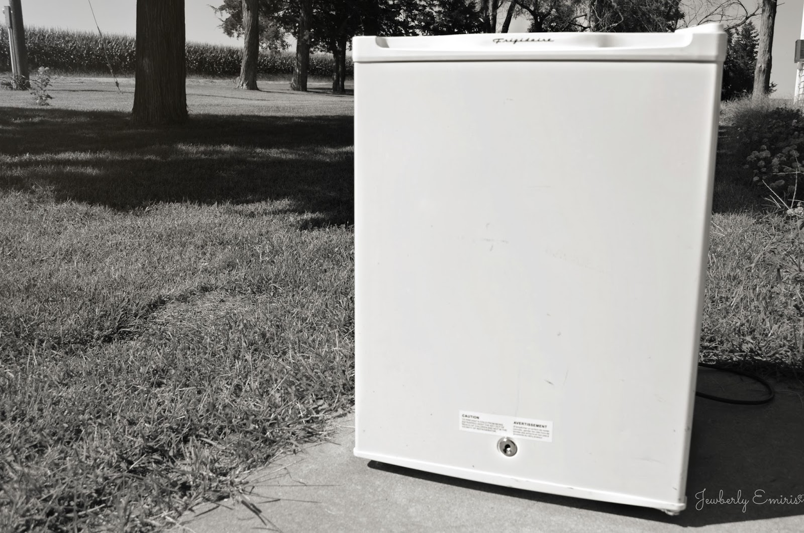 Jewberly Emiris Garage Sale Score Frigidaire MiniFridge