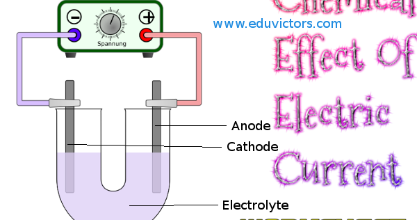 CBSE Papers, Questions, Answers, MCQ: CBSE Class 8 - Science