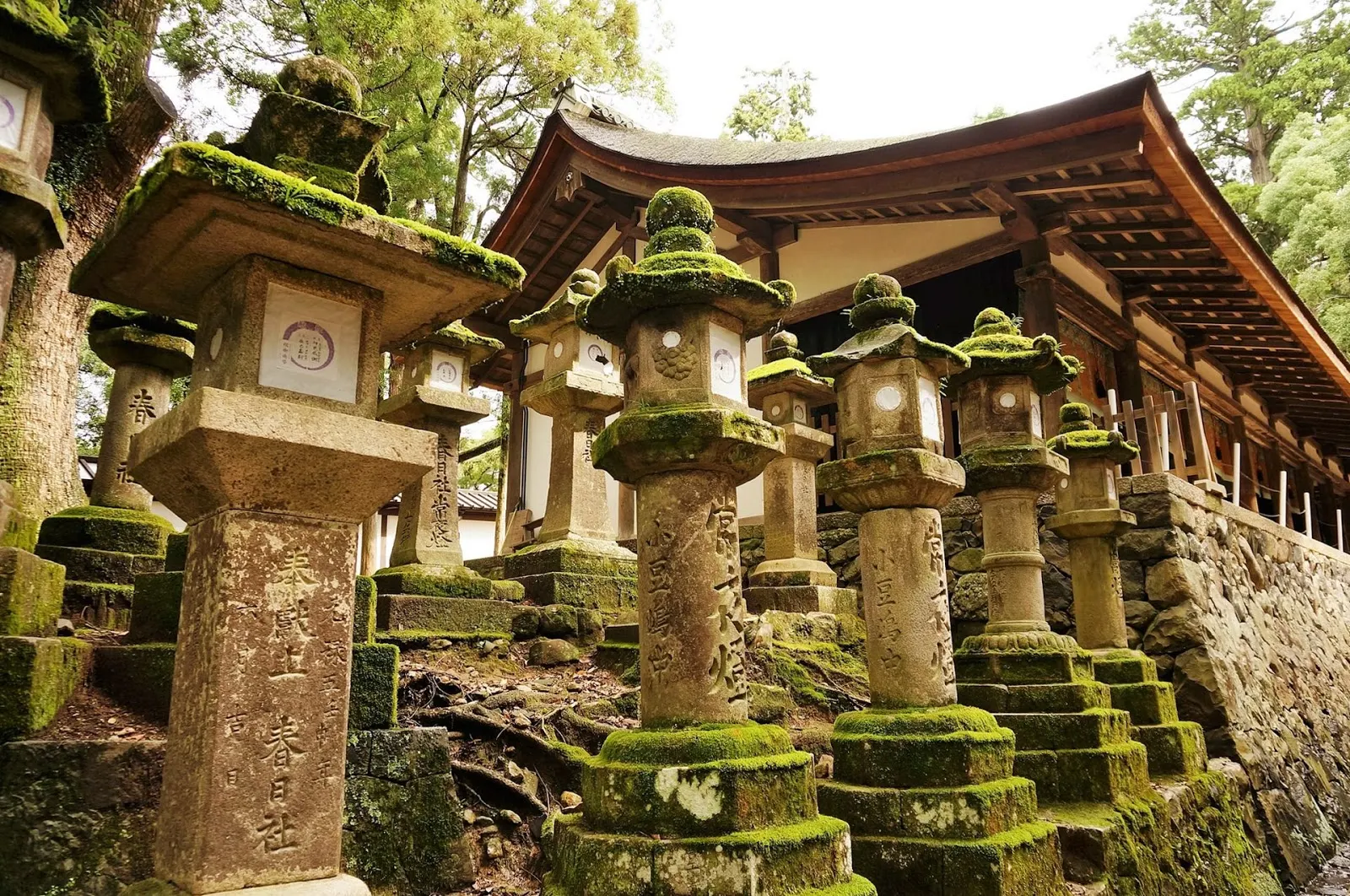 奈良-奈良景點-推薦-市區-自由行-奈良必玩景點-奈良必遊景點-奈良一日遊-奈良好玩景點-旅遊-觀光-日本-Nara-Tourist-Attraction