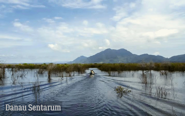 Danau Sentarum Danau Musiman Terbesar di Kalimantan Barat - duaistanto  Journey