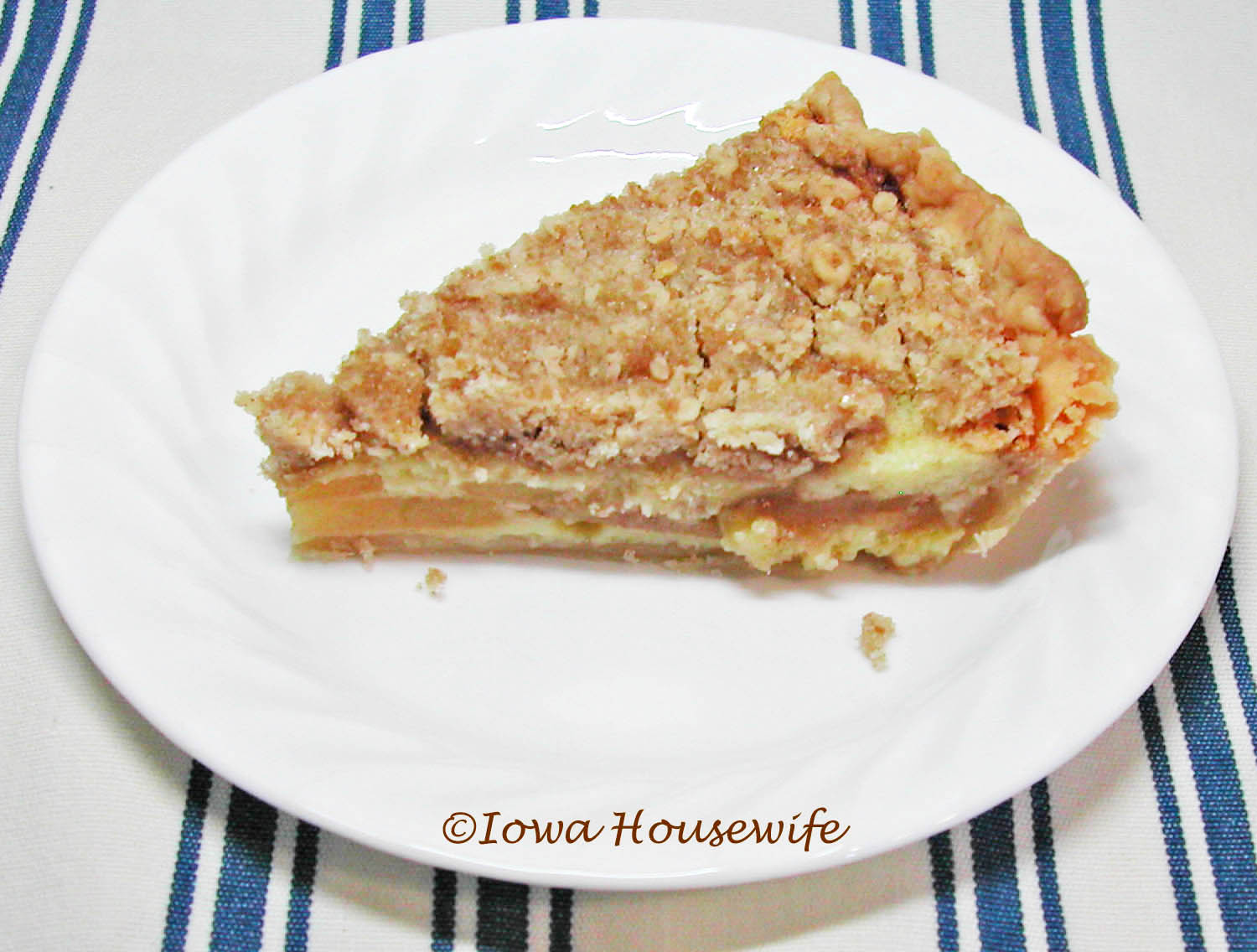 The Iowa Housewife Buttermilk Custard Apple Pie