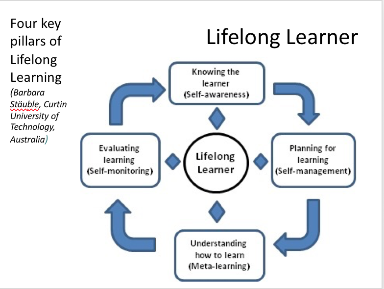 Life learning what is. Концепция lifelong Learning. Непрерывное обучение lifelong Learning. Life Learning концепция. Стадии lifelong Learning.
