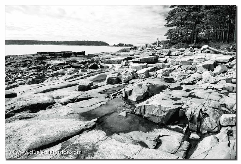 Clueless in Boston: Rocks