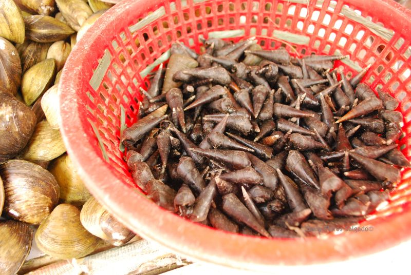 Pinay Mountain Chef: Boracay shell fish