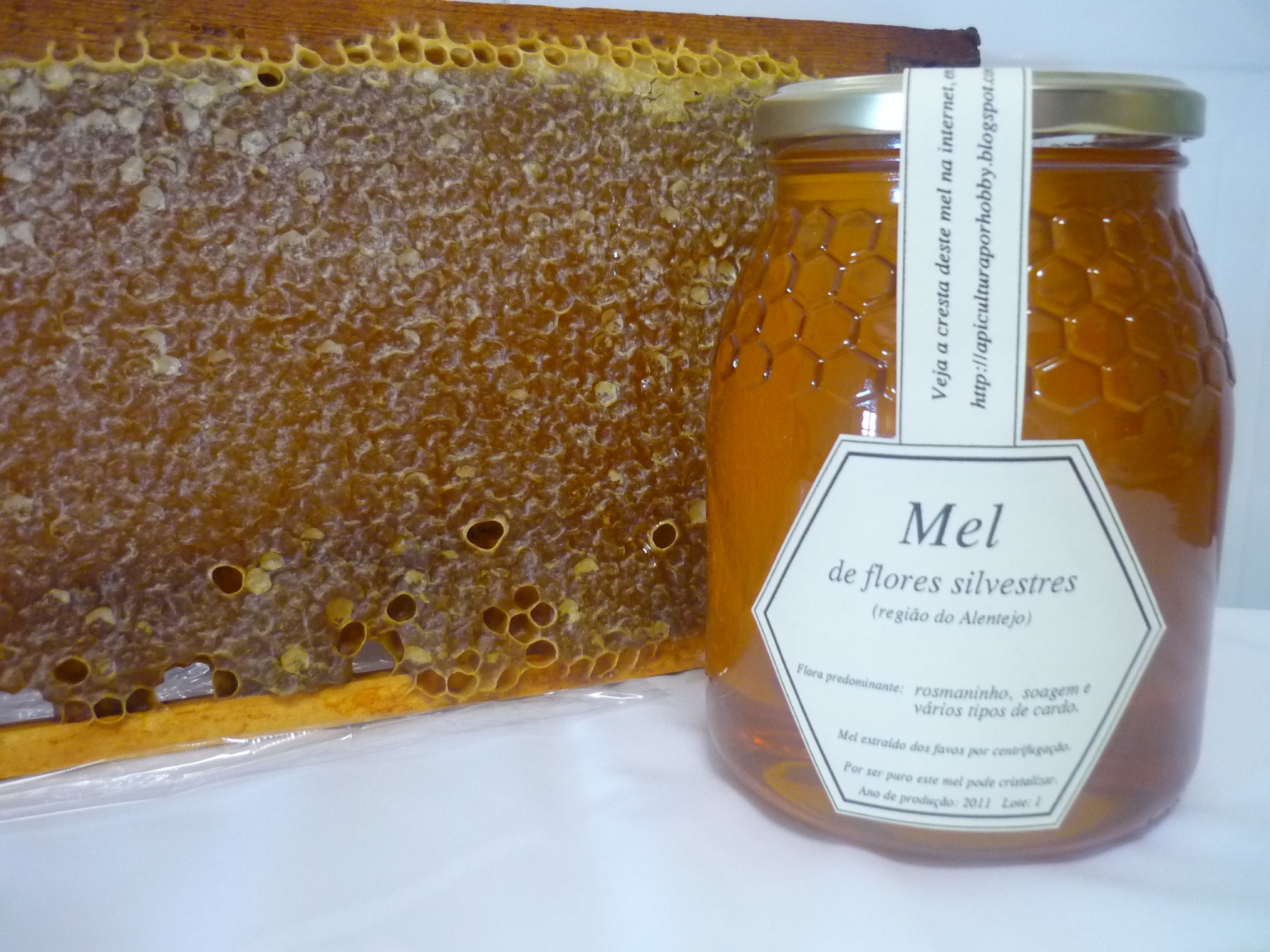 Beekeeping in Portugal > Best honey in the world My bees produce the