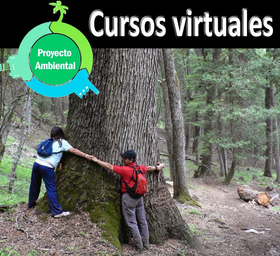 Cursos Virtuales Ambientales