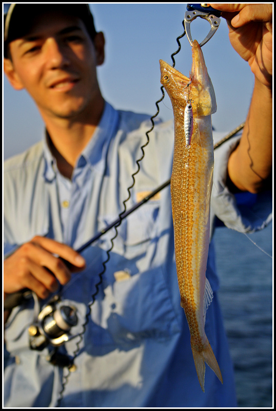 RockFishing Spain ¿Qué es el rockfishing?