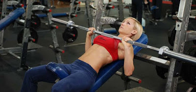 bench press bar on flat bench bench press bar on flat bench