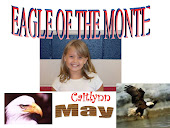 Eagle of the Month