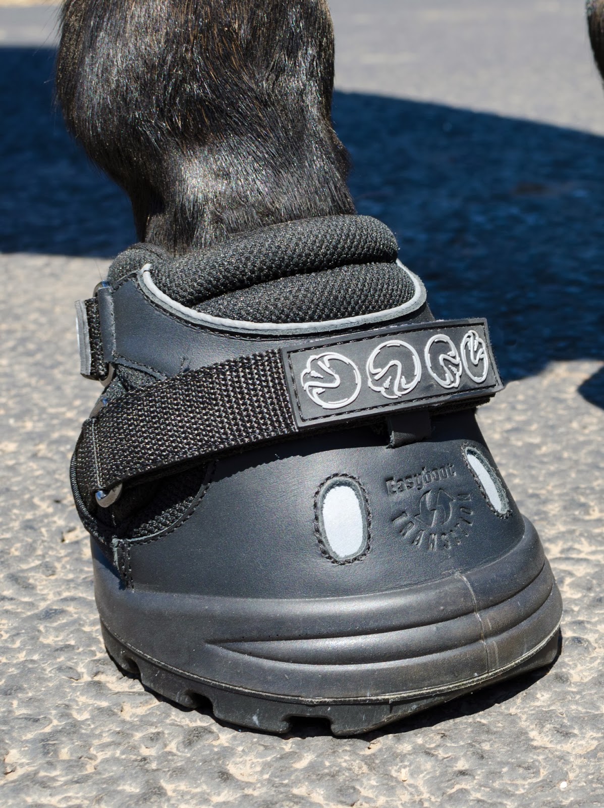 Horse Riding Advice Horsey hoofcare this winter are you managing