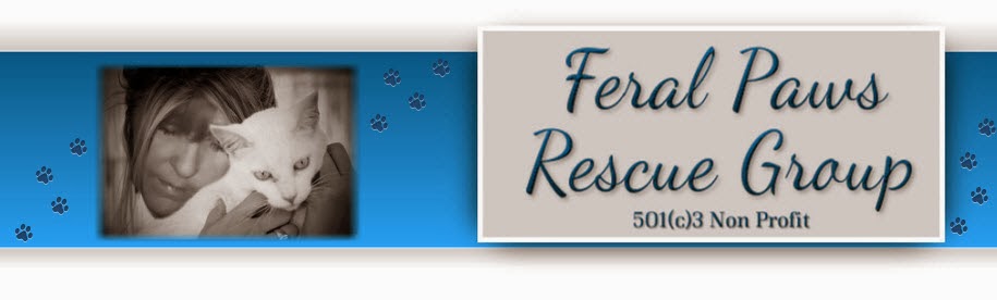 Feral Paws Rescue Group