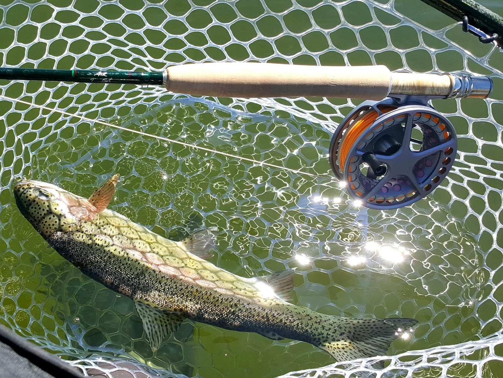 Fly Shop Blog Stillwater Gear Roundup