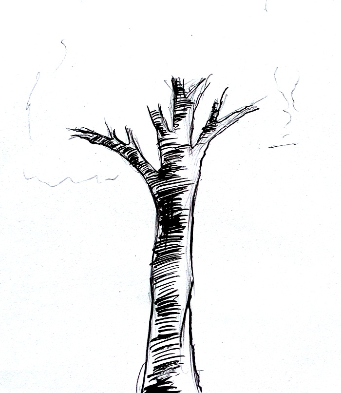 Cara menggambar pohon MUDAH & SIMPEL MAYAGAMI