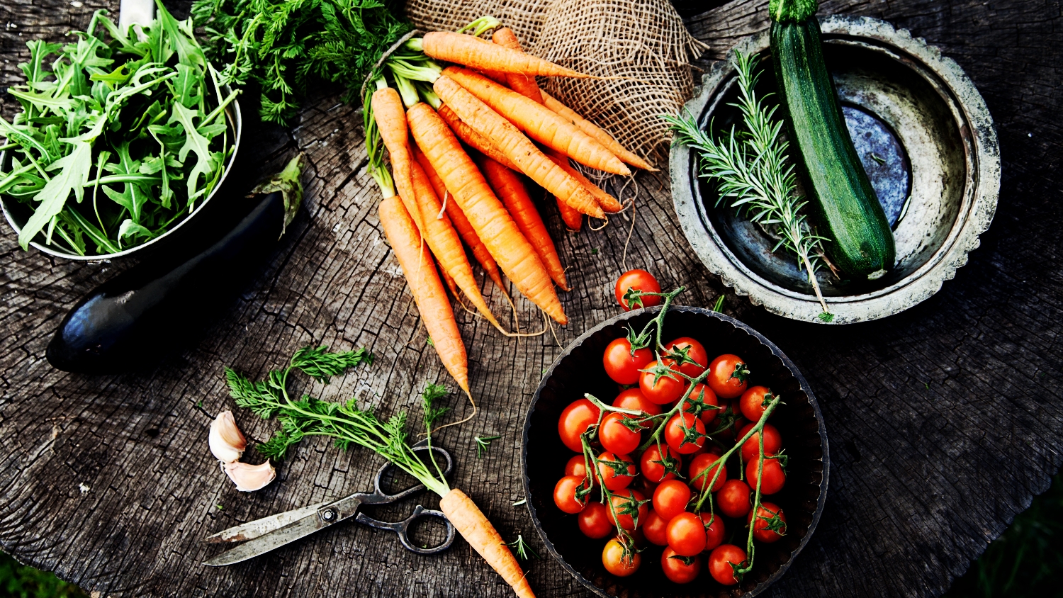 10 tips for the beginner vegan Follow My Vegetarian/Vegan Journey!