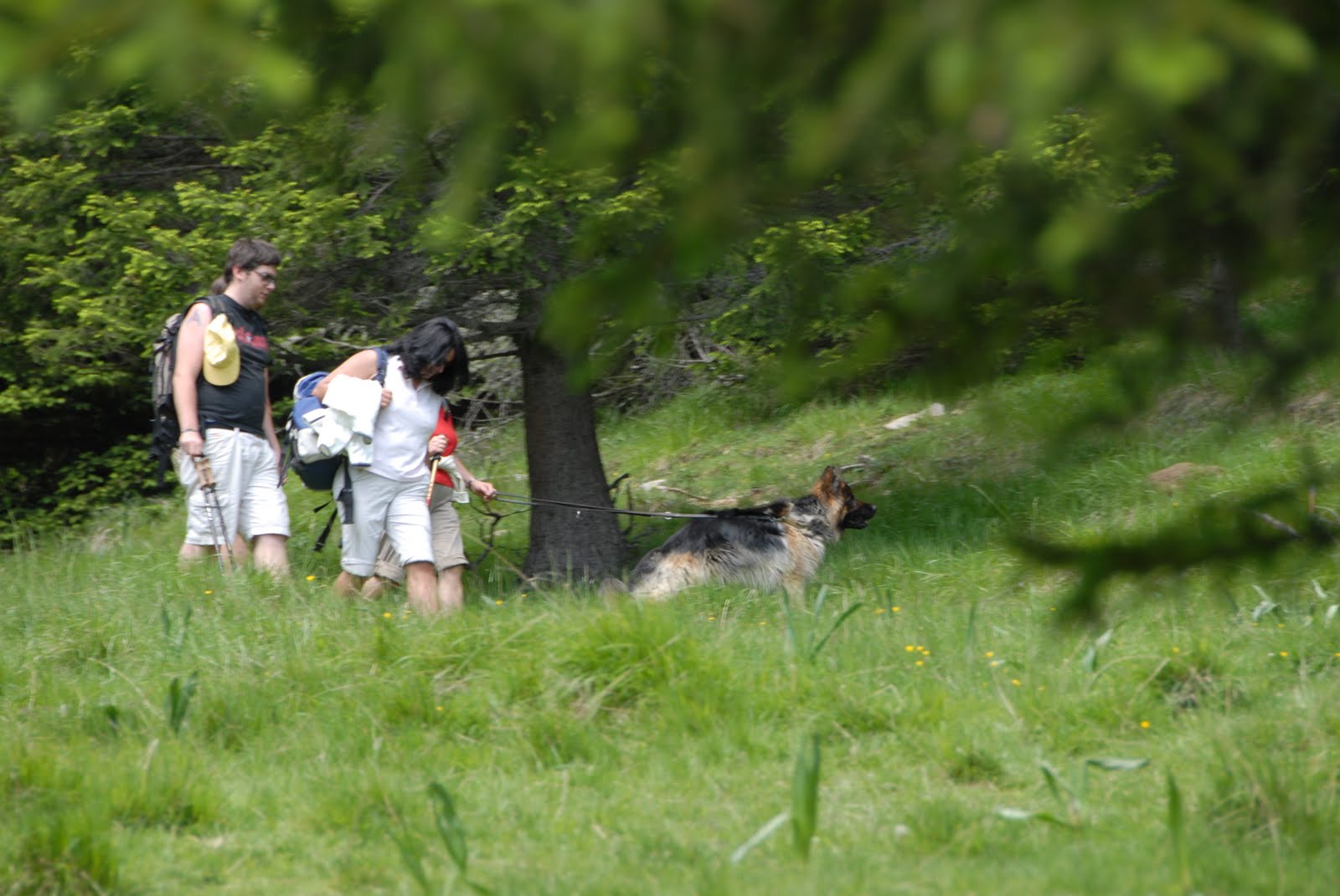 Urlaub mit Hund Urlaub mit Hund in Frankreich