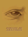 DIBUJOS ANATOMIAS