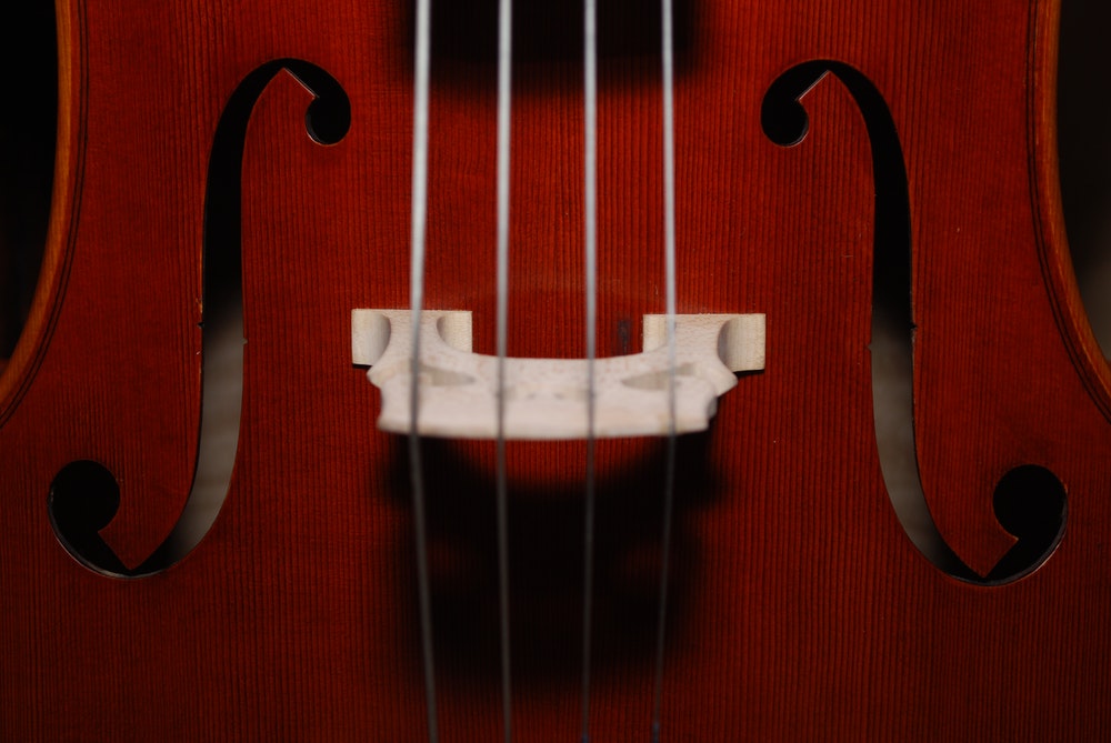 violin images