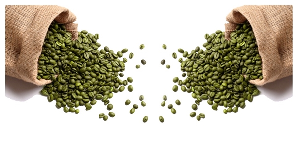 Café verde emagrece, queima gordura e combate diabetes e acelera o metabolismo Consumir grãos de café verde ajuda perder peso, é a nova moda para emagrecer.