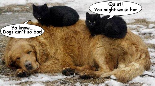 dating bulgarian girls