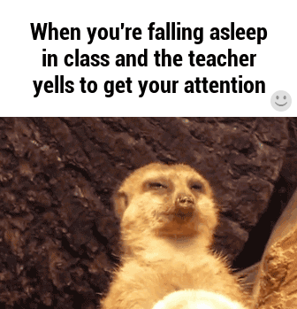 fall asleep in class