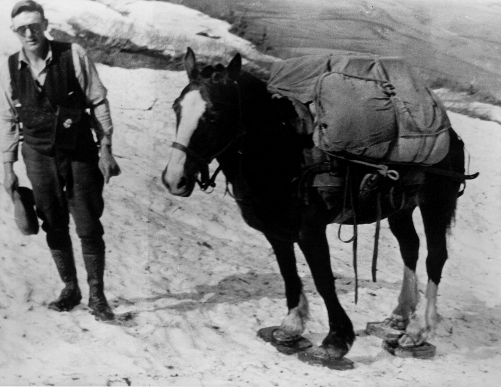 Heroes, Heroines, and History Horses Wearing Snowshoes