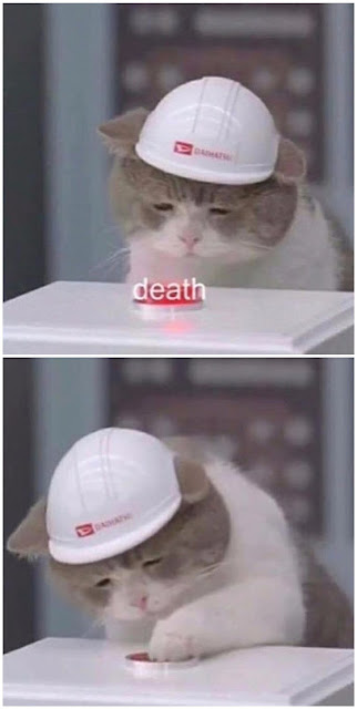 Funny Cat Considers Death Button Joke Picture