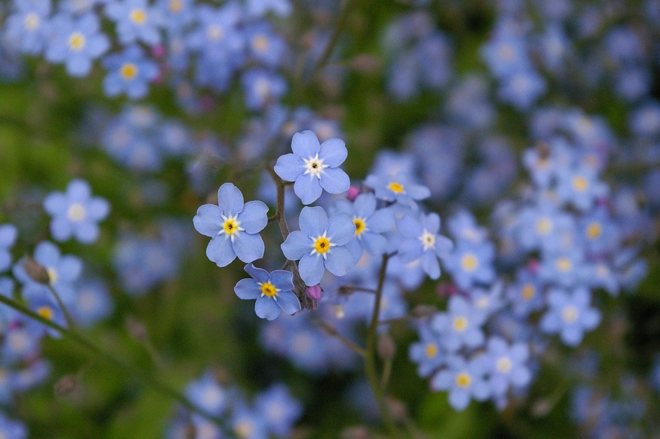 TDRE Boss Blog Me Not New GCSE Planning