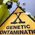 Contaminação com transgênicos cresce ao redor do mundo