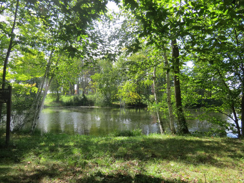 pond
