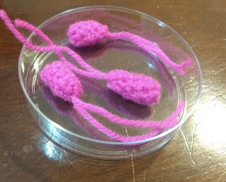 PATRON GRATIS BACTERIA AMIGURUMI 33274