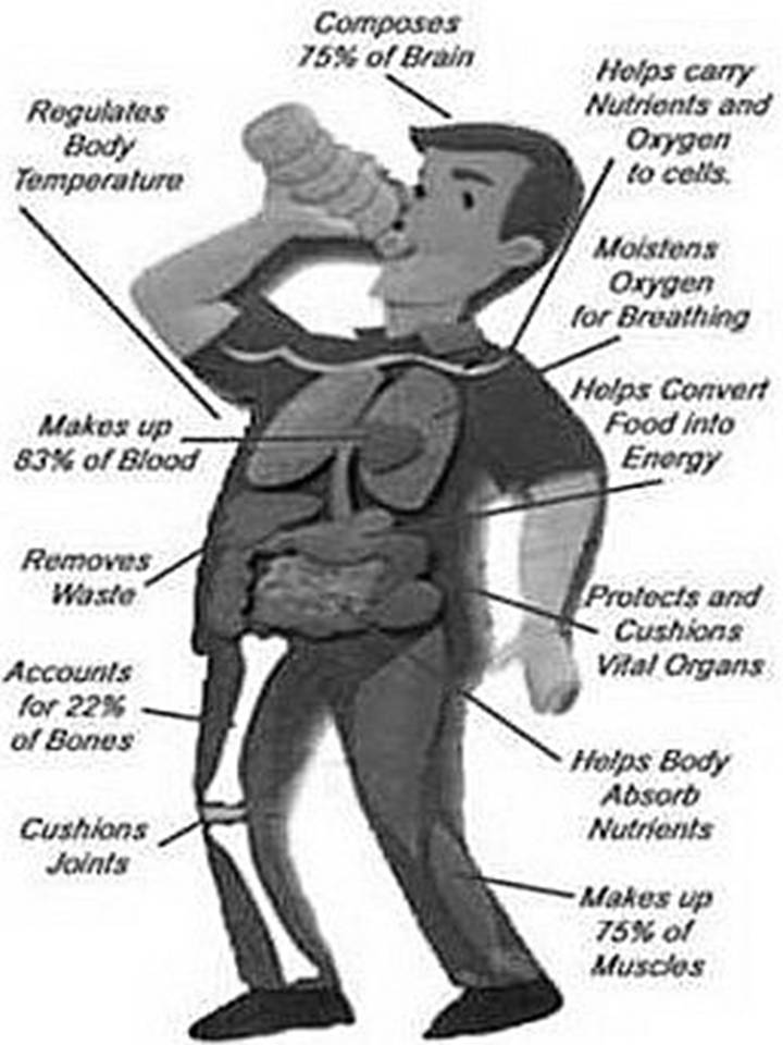 Water Therapy Water Therapy