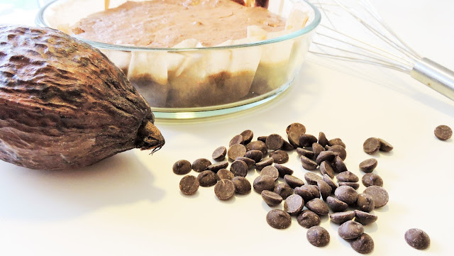 recette sans gluten de brownie au chocolat noir et aux noix de pécan 