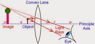 lens applications compound microscope light