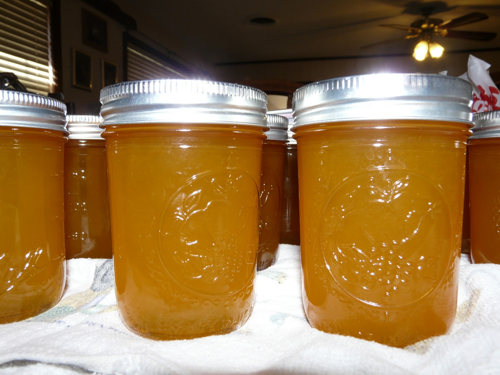 It Happens in a Flash Canning and Satsuma Jelly