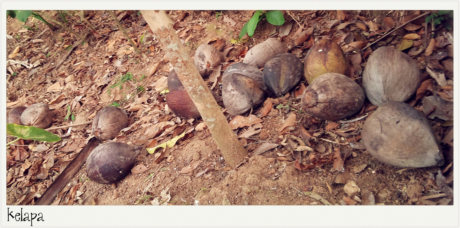 Kehidupan Di Desa - WEB | LOVEHEAVEN 07