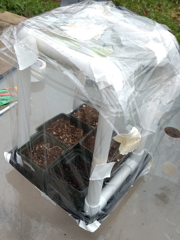 Mini Seed Starting Greenhouse Greens and Machines