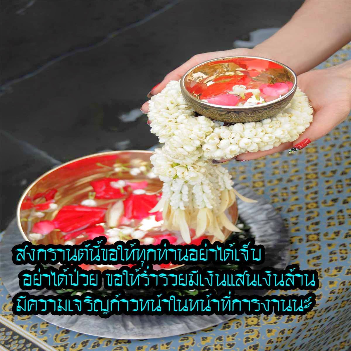My Image 23